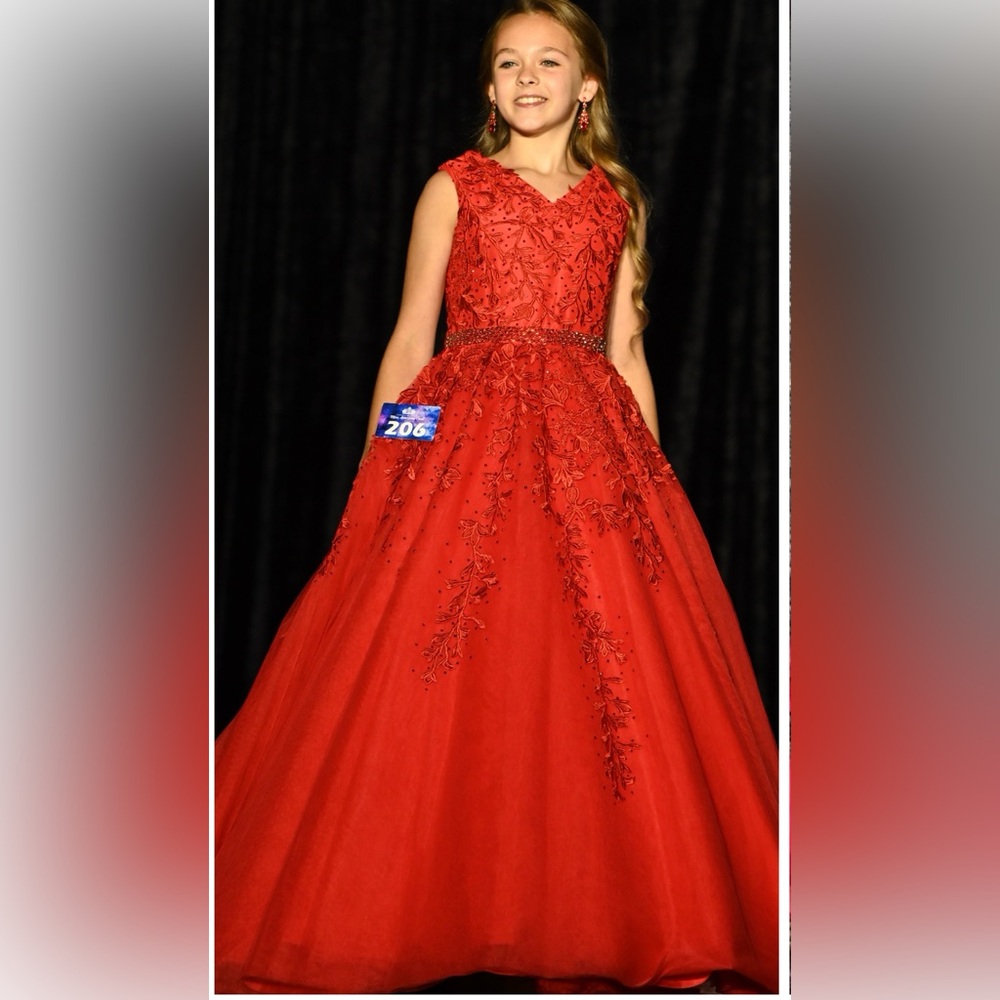 Sherri Hill red pageant gown bought new worn once for National Pageant - Picture 4 of 4